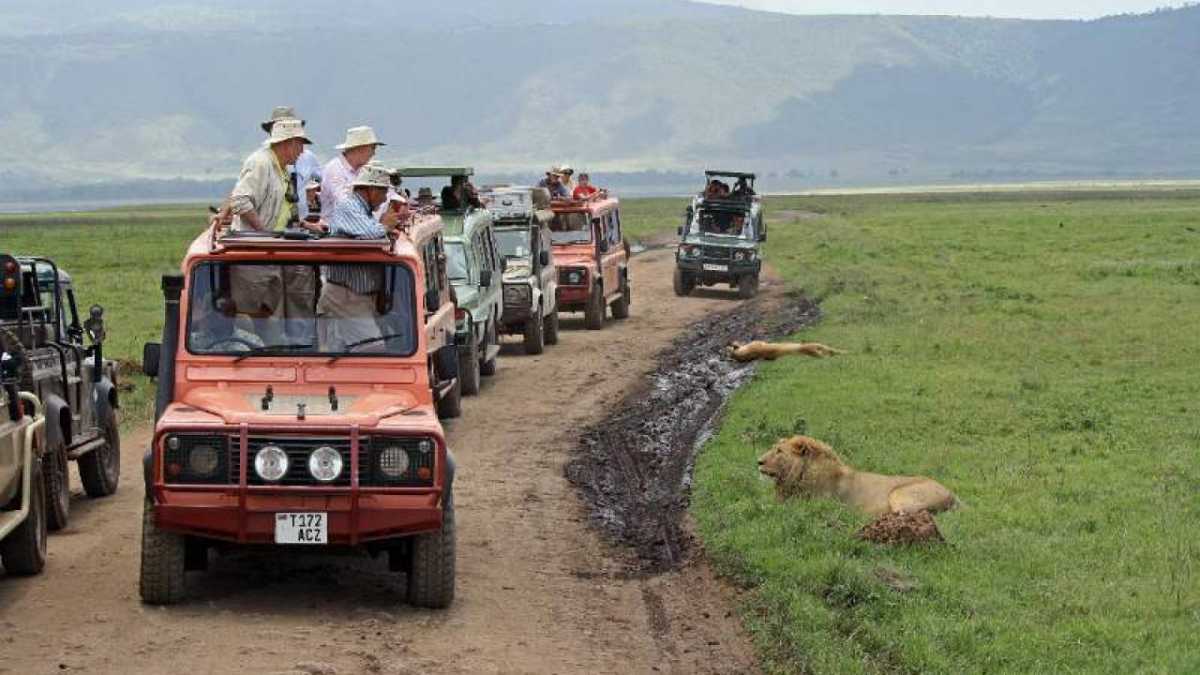 Safari en Parque Natural Ngorongoro